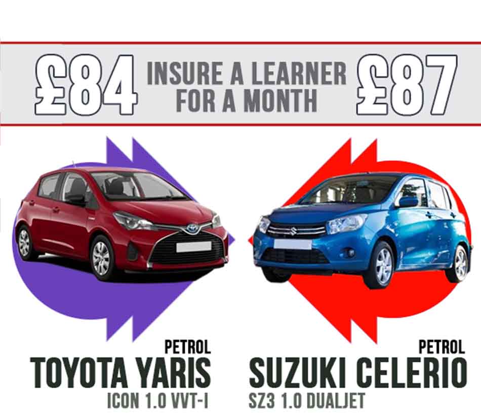 toyota yaris vs a suzuki celerio - learner insurance